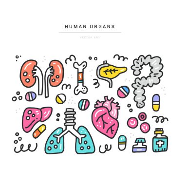 Organ nakli öğeleri