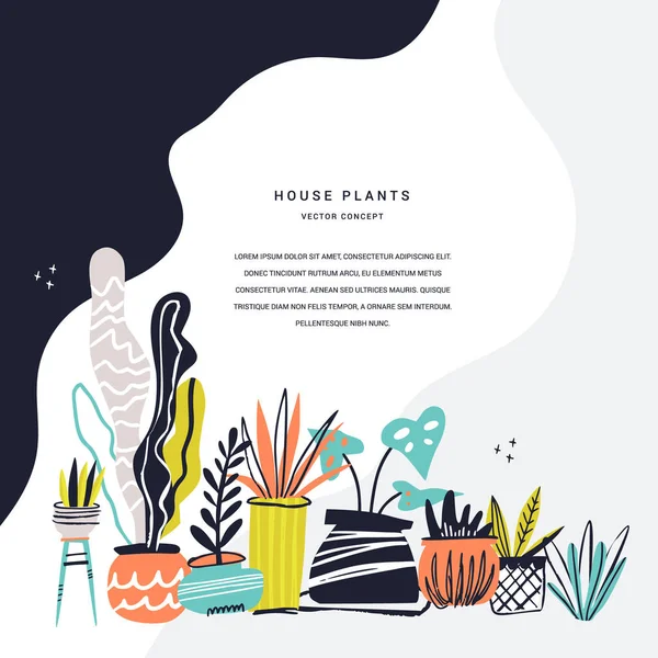 Plantas domésticas dibujado a mano vector de color ilustración — Vector de stock