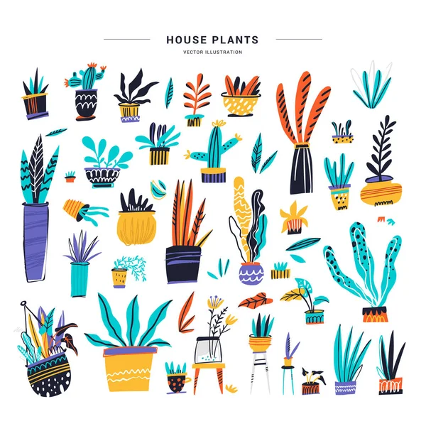 Plantas de casa cor desenhado à mão ilustrações conjunto — Vetor de Stock