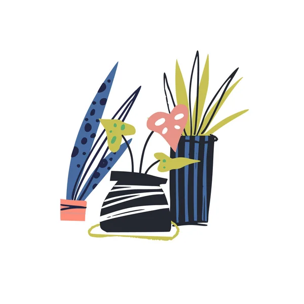 Plantas de casa cor desenhada à mão ilustração — Vetor de Stock