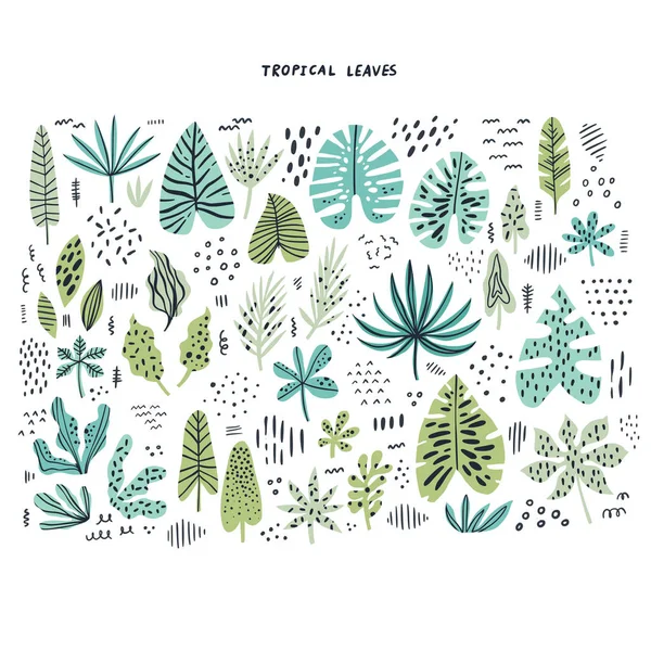 Conjunto de ilustraciones planas dibujadas a mano de hojas tropicales — Vector de stock