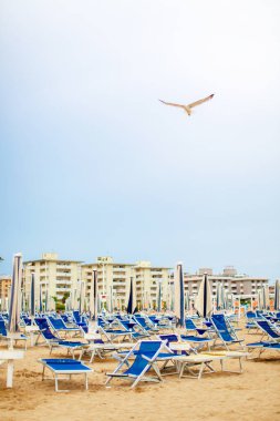Bir martı ıssız bir sahilde boş otellerin arka planına doğru uçar.