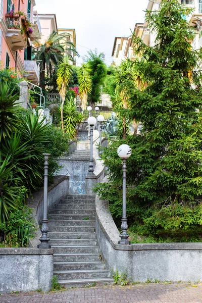 Escadaria Pedra Cidade Com Lanternas Plantas — Fotografia de Stock