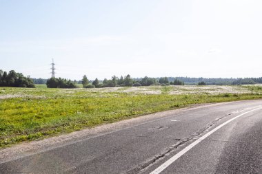 Şehrin dışında boş bir yol, bir tarla ve beyaz çiçekler.