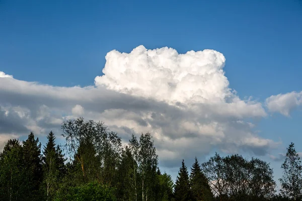 Witte Wolk Een Blauwe Lucht Tegen Een Bosachtergrond — Stockfoto