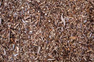 Yerde kahverengi ahşap talaşları var.