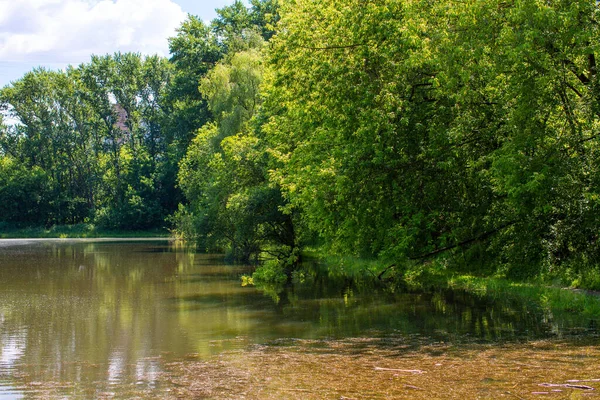 Lagoa Cercada Por Árvores Verdes Parque — Fotografia de Stock