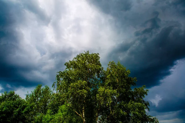 Große Wolke Über Einem Baum — Stockfoto