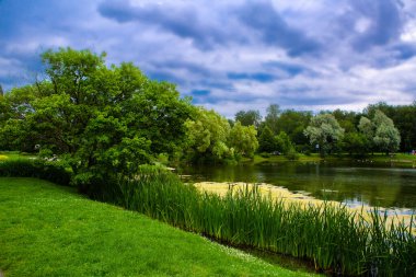 Parktaki gölet ve ağaçlar