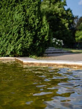 Parktaki gölette ağaçların arasında