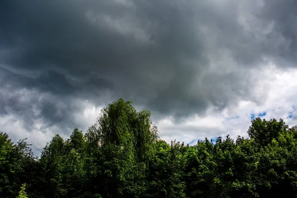 Una Nube Gris Sobre Los Árboles — Foto de Stock