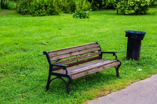Parktaki ahşap bankta yeşil çimlerin üzerinde