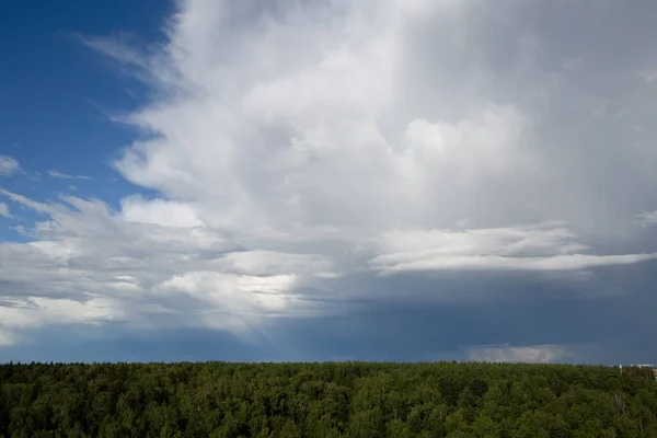 Große Wolke Über Dem Wald — Stockfoto