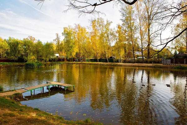 Lagoa Com Ponte Árvores Amarelas Outono — Fotografia de Stock