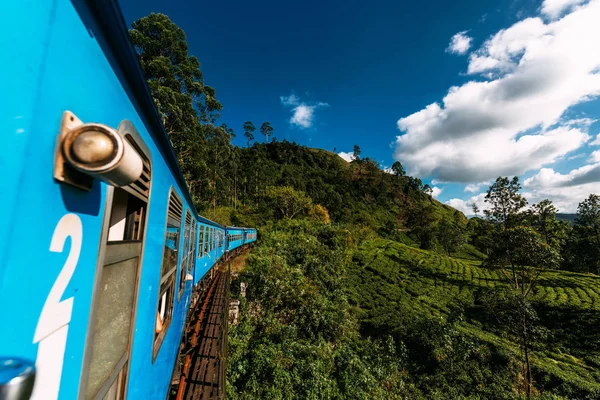 Nuwara Eliya Kandy için Sri Lanka dağlık çay tarlaları arasında tren. Dokuz kemer köprü Sri Lanka'da tren. Tren. Asya seyahat. Bir turist gözleri. Araba yolculuğu   