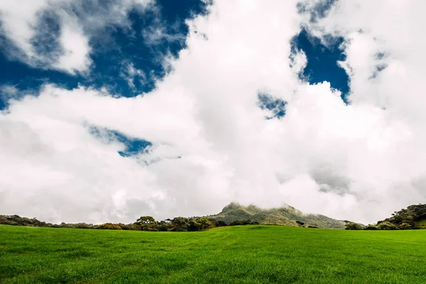 초원입니다 아름다움 배경입니다 스리랑카의 자연입니다 잔디입니다 초원입니다 알파인 목초지 — 스톡 사진