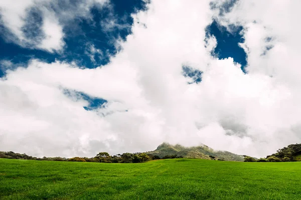 Exuberante Pradera Verde Bajo Hermoso Cielo Pradera Verde Bajo Los — Foto de Stock