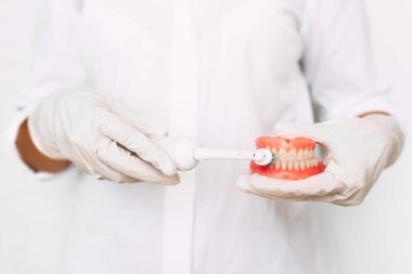 Ağız hijyeni. Yakın el diş hekimleri dişlerini nasıl doğru fırçalayabilmek için gösteri dir. Doktorun elinde diş protezi. Diş hekimliği kavramsal fotoğraf. Protez diş hekimliği. Takma dişler