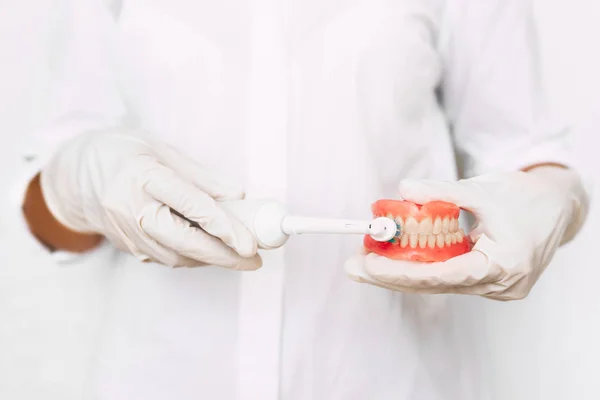 Higiene Oral Dentistas Perto Estão Demonstrando Como Escovar Dentes Corretamente — Fotografia de Stock