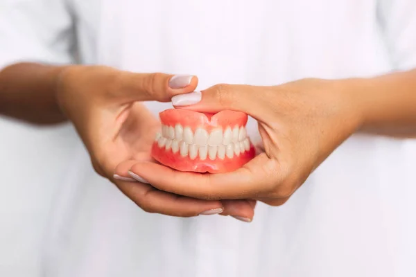 Dentista Tiene Dentiera Tra Mani Protesi Dentaria Nelle Mani Del — Foto Stock