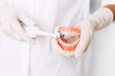 Diş hekimi dişlerinizi nasıl fırçalayınız gösterir. Ağız hijyeni. Diş protezi doktorun elinde yakın çekim. Diş hekimliği kavramsal fotoğraf. Protez diş hekimliği. Takma dişler