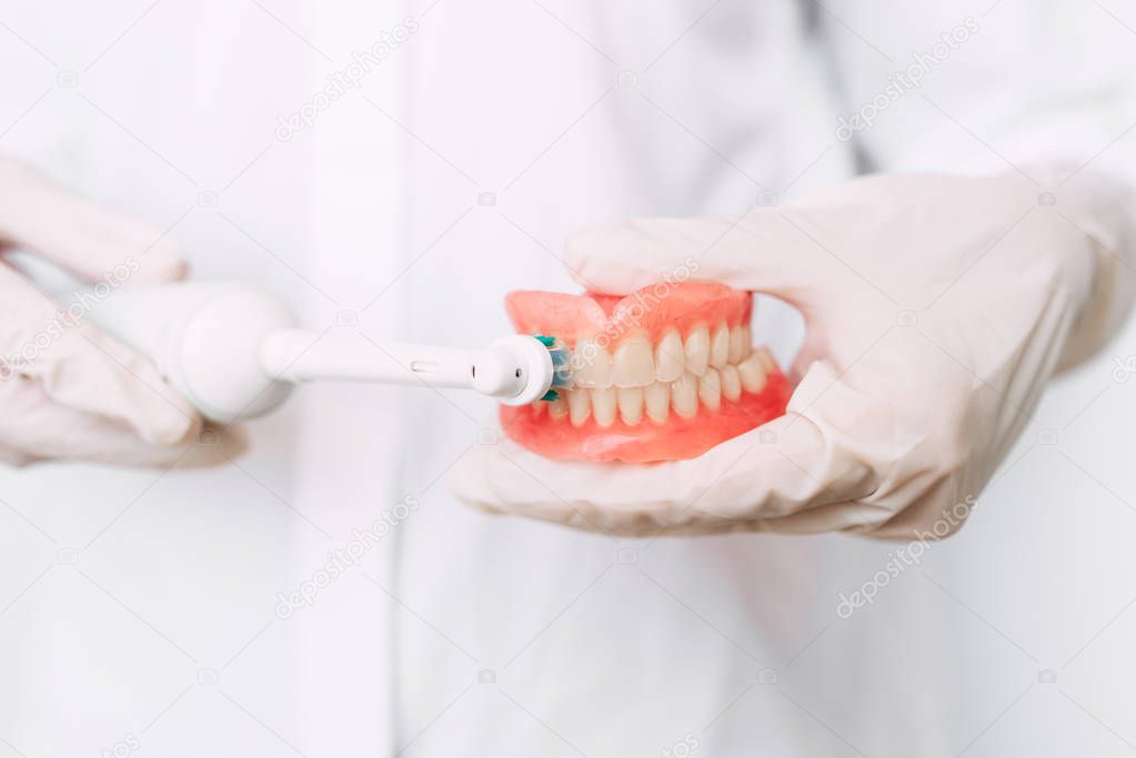 Dentist shows how to brush your teeth. Oral hygiene. Dental prosthesis in the hands of the doctor close-up. Dentistry conceptual photo. Prosthetic dentistry. False teeth