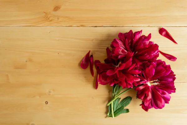 Antecedentes peónicos. Fúcsia, peônias rosa e branca em mesa de madeira com lugar para texto. Peônia de flor de primavera. Espaço para cópia. Imagem tonificada . — Fotografia de Stock