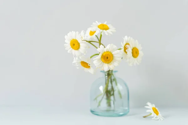 Bouquet of daisies in a glass vase