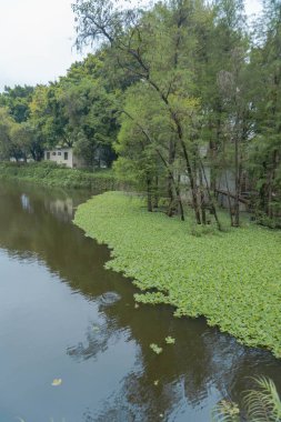 Guangzhou, Guangdong, Çin, 04.2019. Göletli park