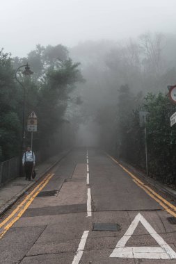 Karanlık sonbahar parkında yol 