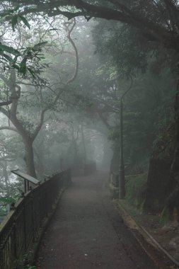 Karanlık sonbahar parkında yol 