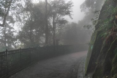 Karanlık sonbahar parkında yol 