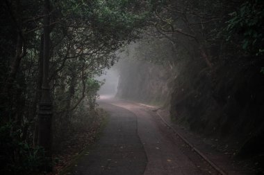 Karanlık sonbahar parkında yol 