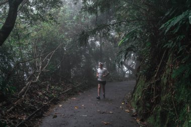 Karanlık sonbahar parkında yol 