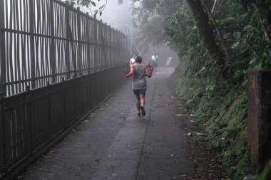 Karanlık sonbahar parkında yol 