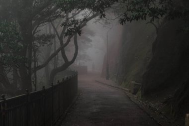 Karanlık sonbahar parkında yol 