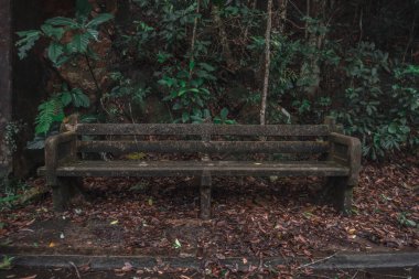 Ormandaki eski ahşap bank 