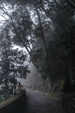 Karanlık sonbahar parkında yol 