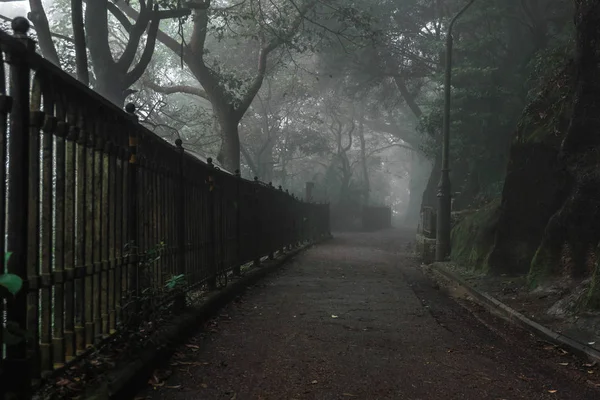 path in the dark autumn park