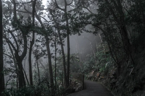 path in the dark autumn park