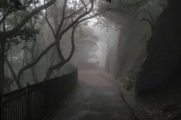 path in the dark autumn park
