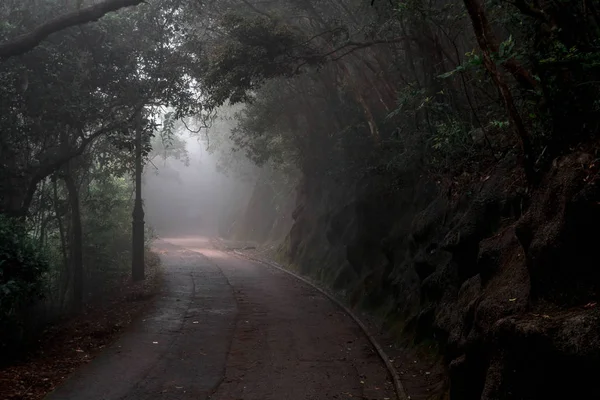 Sentiero Nel Buio Parco Autunnale — Foto Stock