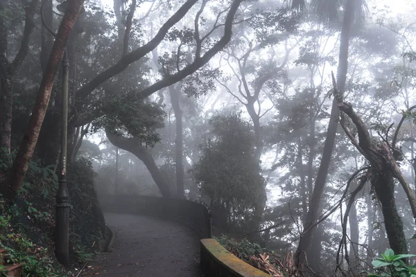 path in the dark autumn park