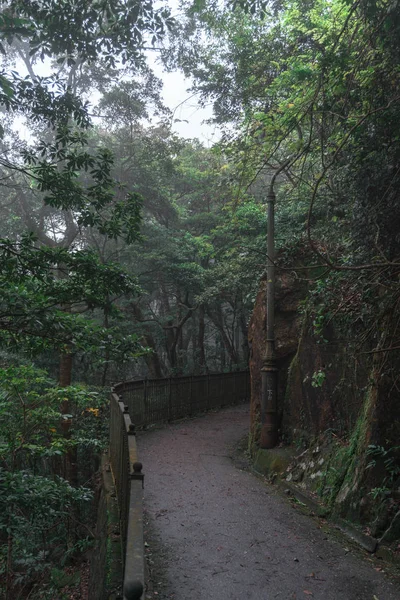 path in the dark autumn park