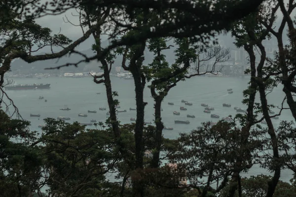 Hong Kong Vue Urbaine Des Sangliers Sur Rivière Les Bâtiments — Photo