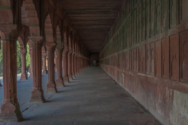 1 Mart 2019: Varanasi, Hindistan 