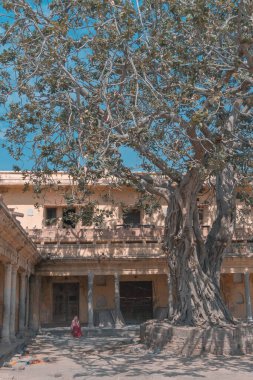 1 Mart 2019: Varanasi, Hindistan 