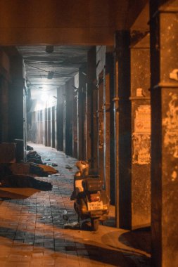1 Mart 2019: Varanasi, Hindistan 'da İnsanlar 