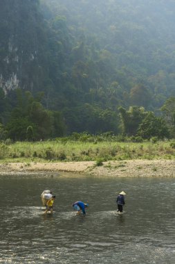 Nehir boyunca yürüyen bir grup insan