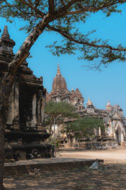 Harabeleri olan antik müze kalesi.